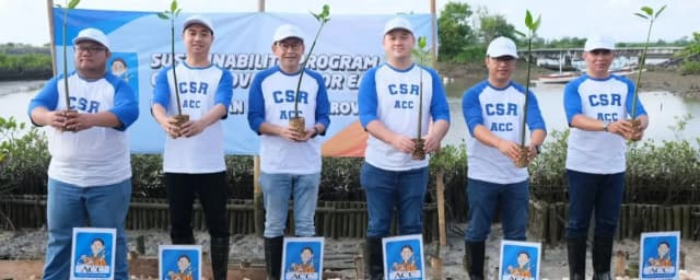 ACC tanam mangrove
