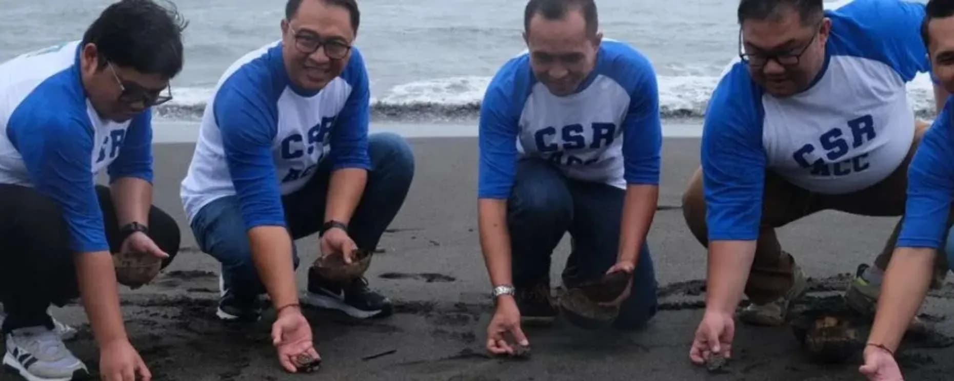 ACC Dukung Konservasi Penyu di Bali