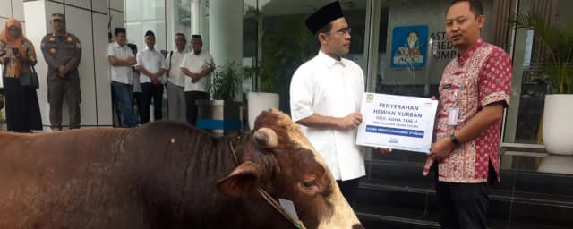 Iduladha 1446H, ACC Bagikan Ratusan Hewan Kurban
