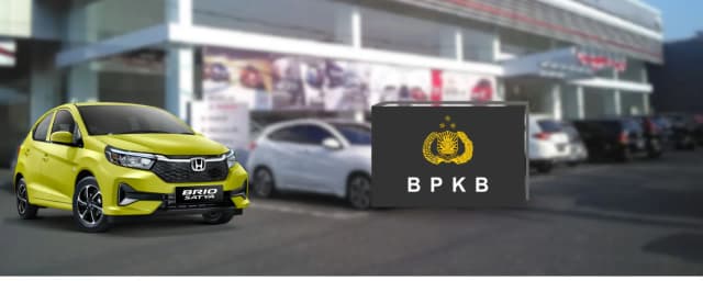 Pajak brio