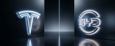 Tesla vs byd