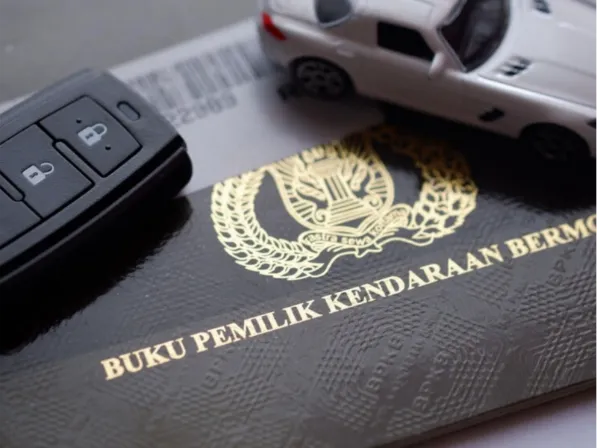 pemutihan pajak 