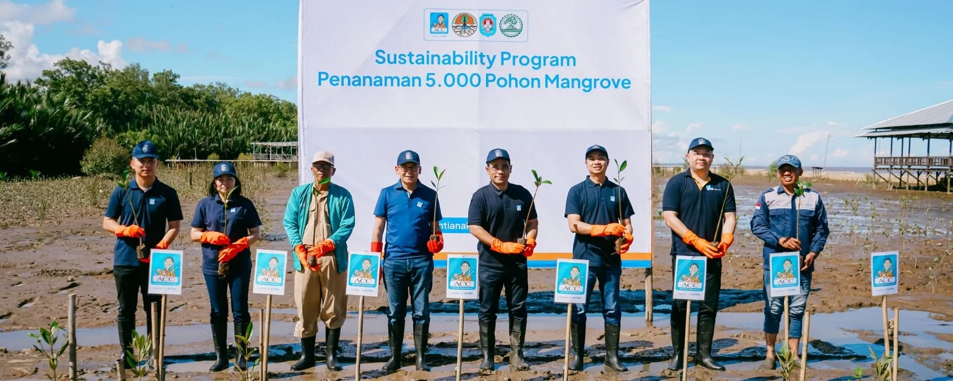 ACC Tanam Mangrove di Pontianak